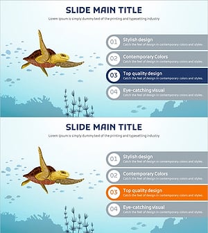 Characteristics of Sea Turtles Visualized in Cluster Slide – Simple Design
