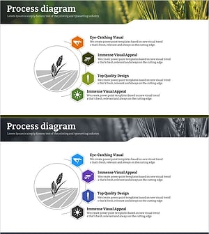 Eco-farming Agricultural Differentiation Strategy Diffusion Diagram