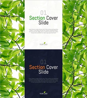 나뭇잎 배경의 섹션 슬라이드 – 자연과 화합