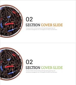 동양의학 템플릿 간지 슬라이드 02