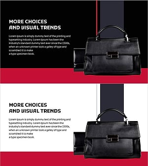 Introducing Luxury Bags – Elegant Design and Marketing Strategy