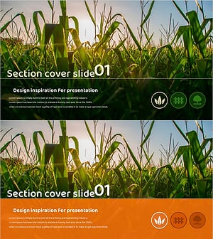 가드닝 와이드 템플릿 간지01 – 자연과 영감을 담은 섹션 커버