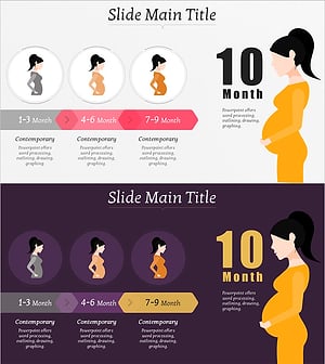 임신 과정을 시각화한 클러스터 슬라이드