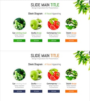 다이어그램을 활용한 유기농 식품 소개 발표