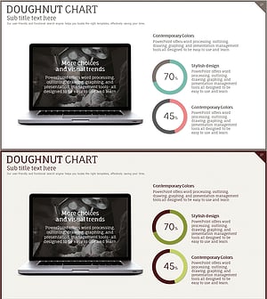 성형수술 데이터 분석 도넛형 원 그래프 슬라이드