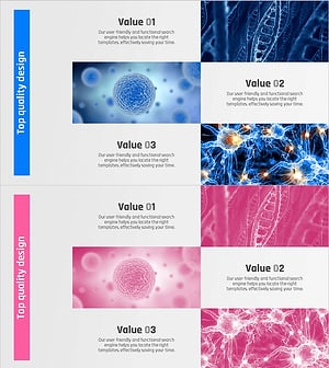 관찰 결과물 소개 – 데이터 클러스터를 통한 전략