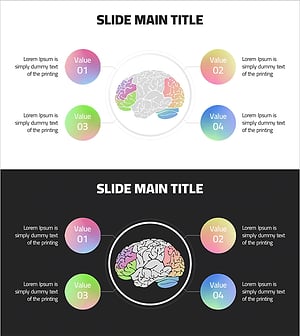 뇌 설명을 위한 다이어그램 – Ringer Shape Subdivided Column Graph