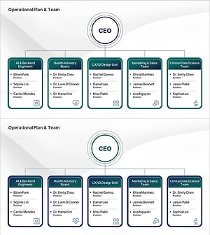 Core Organizational Structure for Company Operation – Effective Team Setup