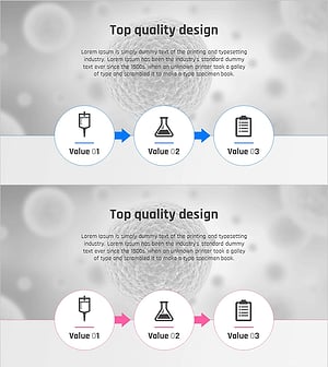 실험연구 추진체계 다이어그램