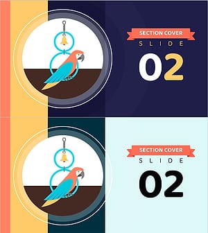 Pet Shop Template Section Cover – Cute Pet Icon