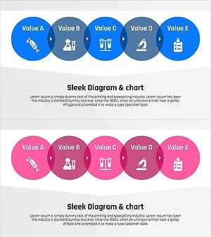 연구 사업추진 경과 중첩 다이어그램