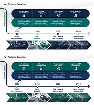 핵심 전략 제시 및 실행 로드맵 – 성공을 향한 여정
