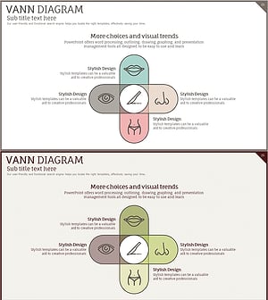 성형수술 사업분야 다이어그램 – 혁신과 미적 조화