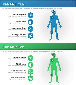 신체기관 질병 분석 다이어그램 – 명확한 정보 전달