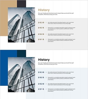 Brown Blue Company History
