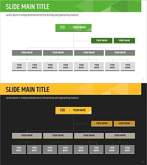 Green Yellow Organization Chart Slide - Company Introduction