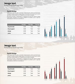 성장 그래프 분석 – 경쟁 우위 확보 위한 데이터 시각화