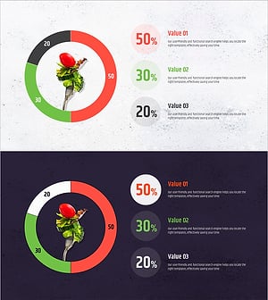 Donut Chart for Salad Proportion Visualization – Market Analysis