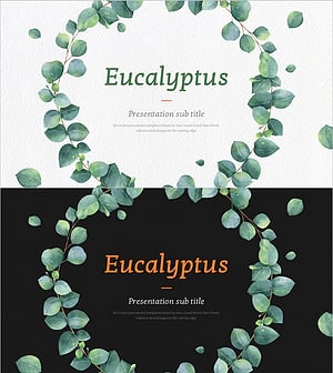 유칼립투스 와이드 템플릿 표지