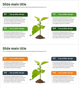 식물의 구조와 기능을 설명하는 다이어그램 슬라이드