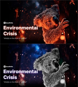 환경 위기 심각성