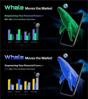 대형 투자자 시장 영향력 분석