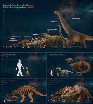 공룡 사이즈 비교 프레젠테이션 무빙 템플릿
